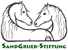Logo Sandgrueb-Stiftung