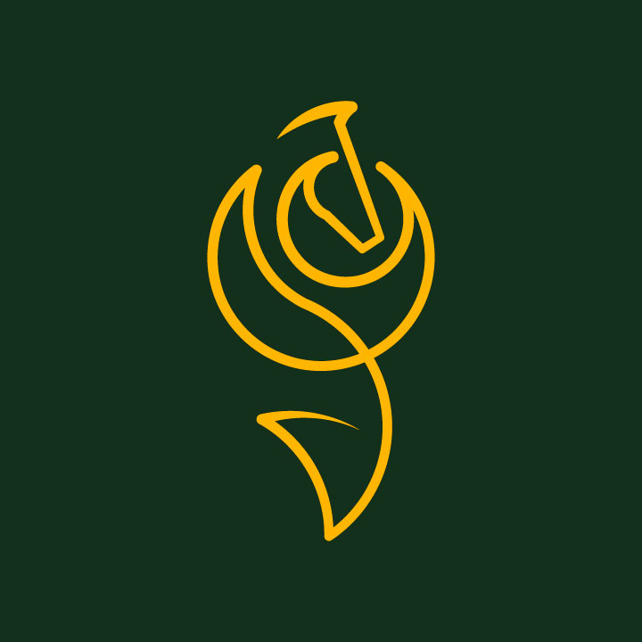 Reins and Roses Media House Logo