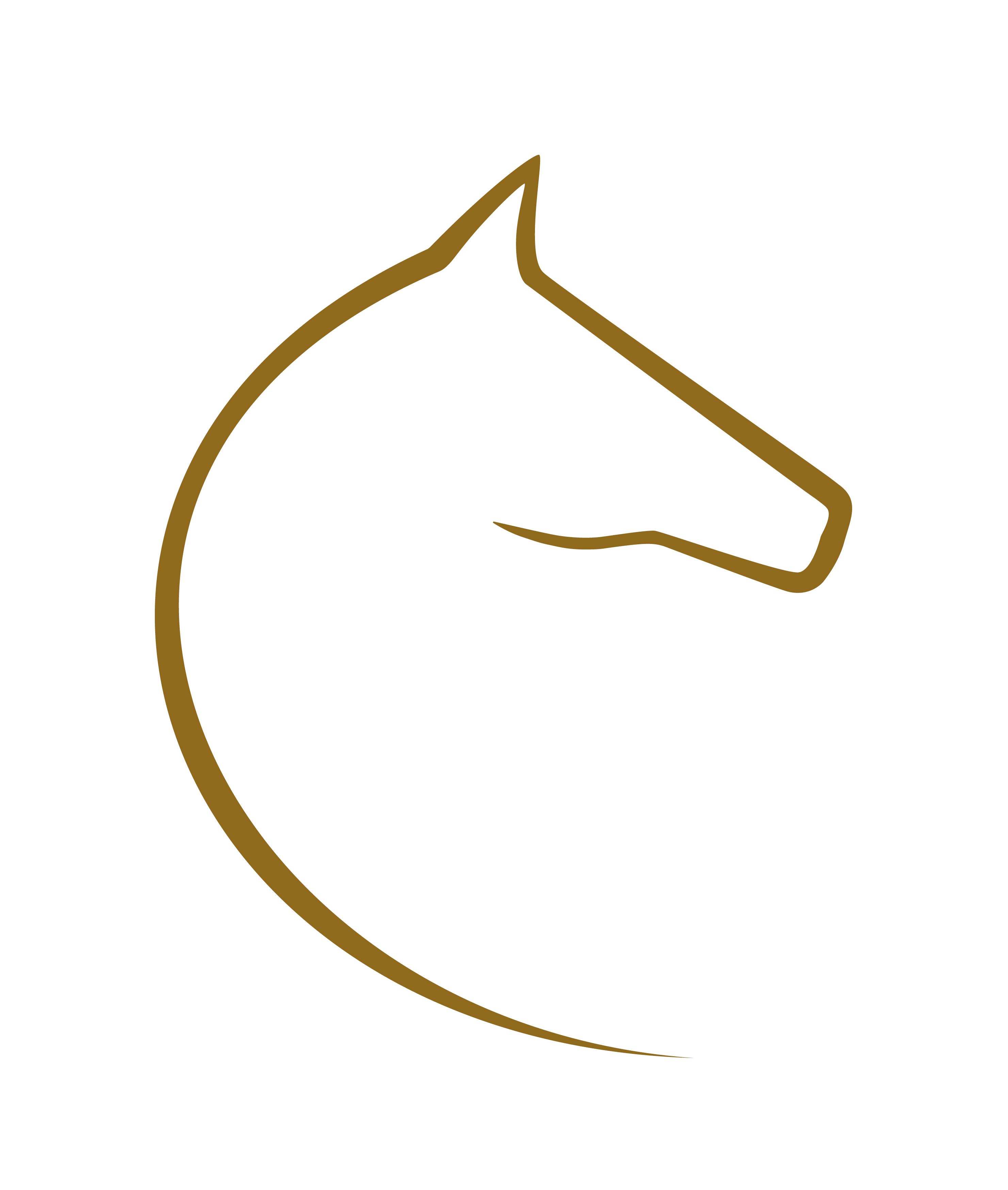 Skip to the home page