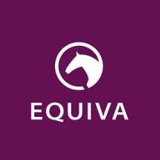 Logo Equiva