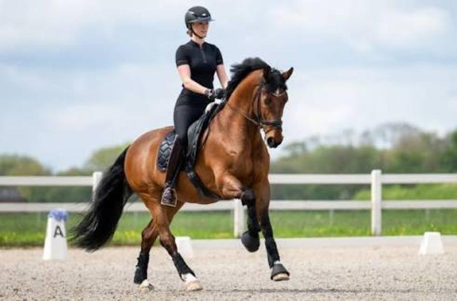 Pikeur