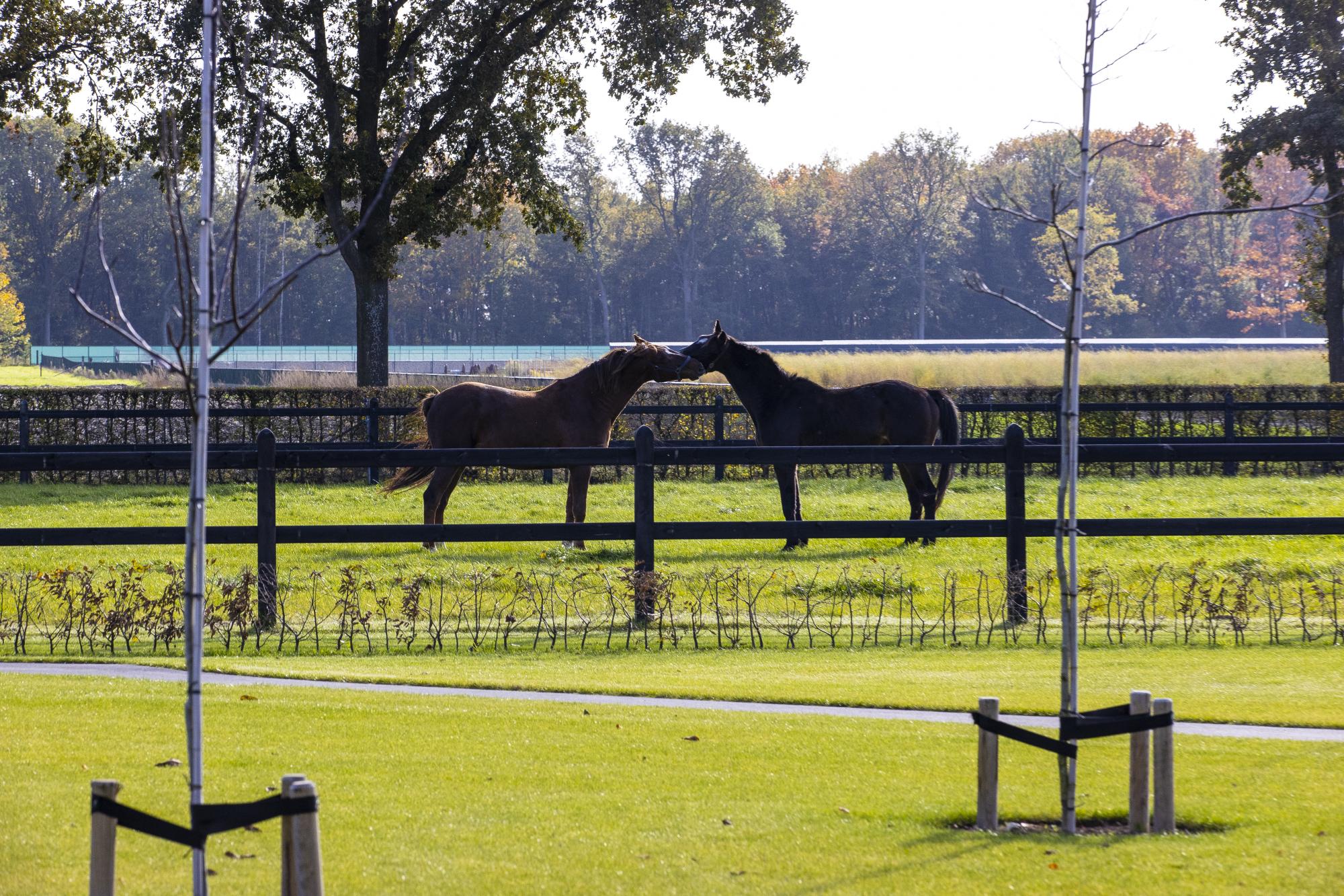 Banner for businesses