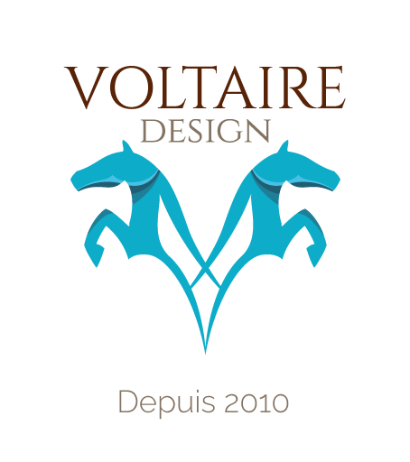 Voltaire Groupe